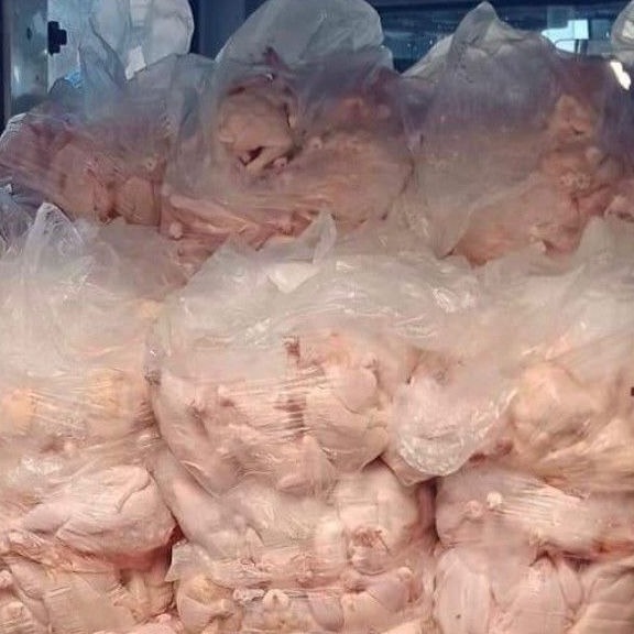 Buy Wholesale Frozen Chicken Online