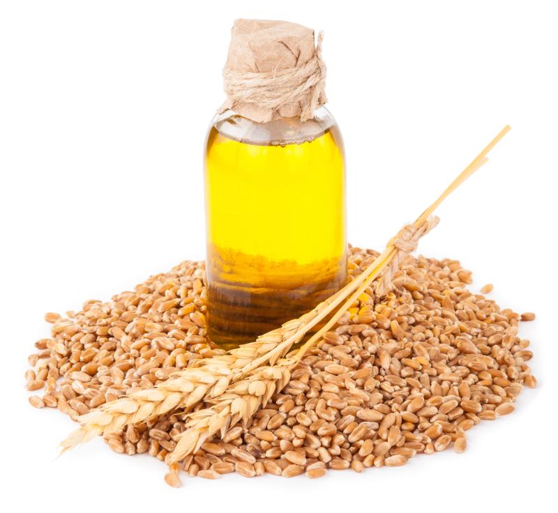 Зародыши пшеницы, масло зародышей