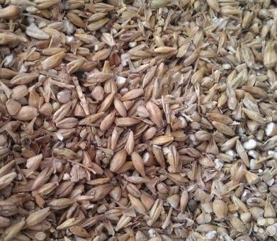 Зерноотходы пшеницы