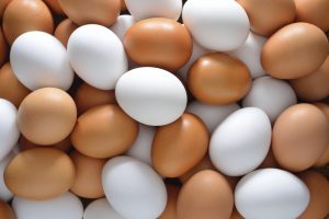 Куриное яйцо оптом от производителя
