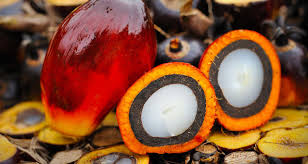 Пальмоядровое масло Индонезия