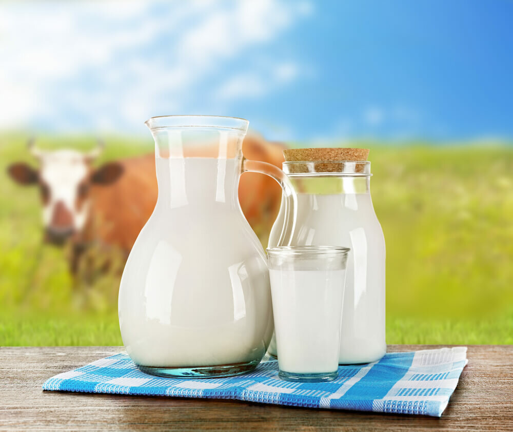 Молоко коровье цельное
