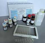 53016B Тест-система ИФА Вомитоксин (ДОН), ИФА, 96 опр./ Vomitoxin (DON), ELISA, 96-test