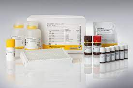 53012M Тест-система ИФА Афлатоксин М1, 96 опр./ Aflatoxin M1, ELISA, 96-test