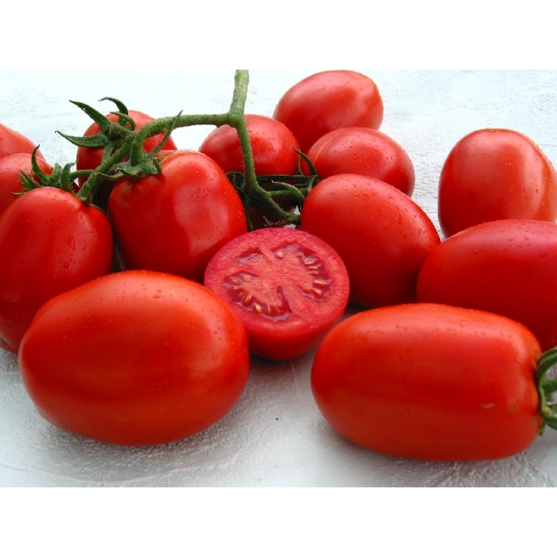 Семена томата Леда F1 красный полудетерминантный (YUKSEL TOHUM) Турция