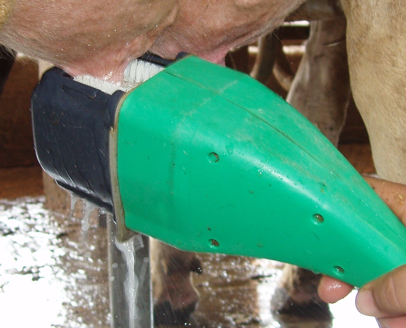 Скруббер для обработки вымени коровы перед дойкой F-488 от PuliSistem