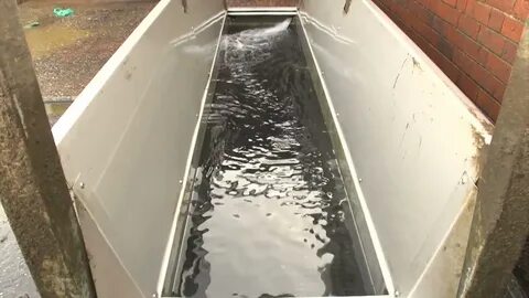 Автоматическая ванна для обработки копыт HoofCount ( Великобритания)