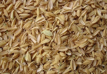 Рисовая шелуха от производителя