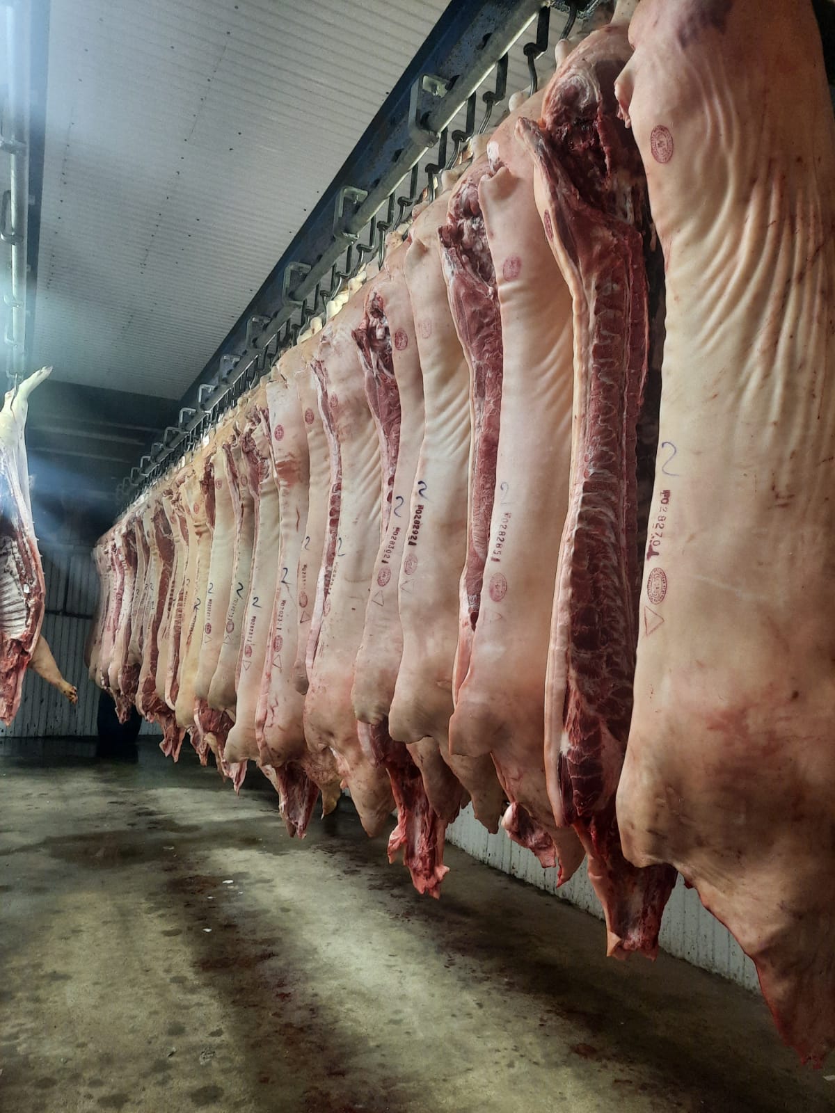 ООО"Сантарин" реализует свинину 1-2/к,хряки,свиноматки в полутуше 4-категории.