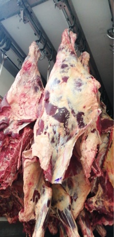 ООО"Сантарин" реализует мясо говядины в полутушах коровы,быки.
