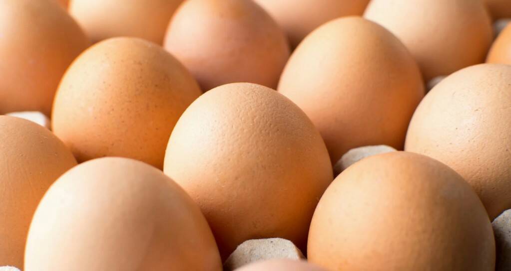 Предлагаем яйцо куриное (ОПТ), С1 С2 (коричневое, белое) производство Республика Беларусь
