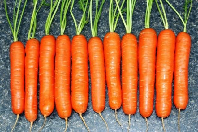 Морковь столовая 1-й сорт