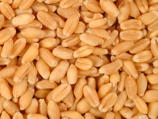 Пшеница пищевая 3-го класса