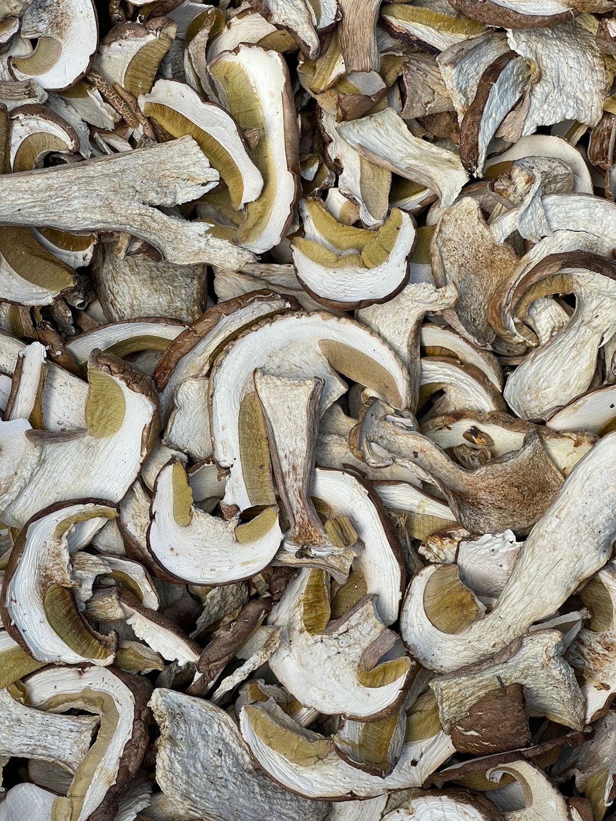 грибы белые сушеные  оптом