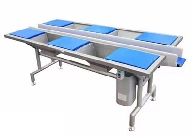 Инспекционный стол с конвейерной лентой для автоматической салатной линии Vega Salat Line