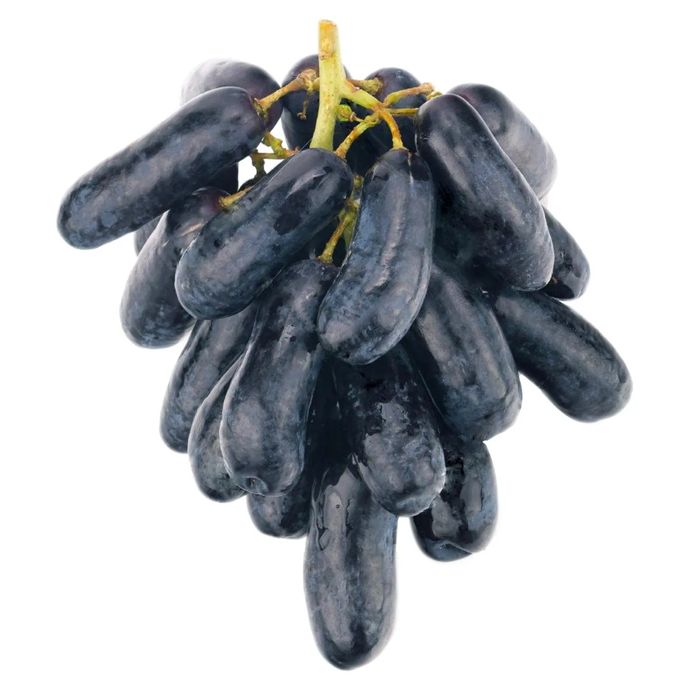 Виноград дамские пальчики фото черный