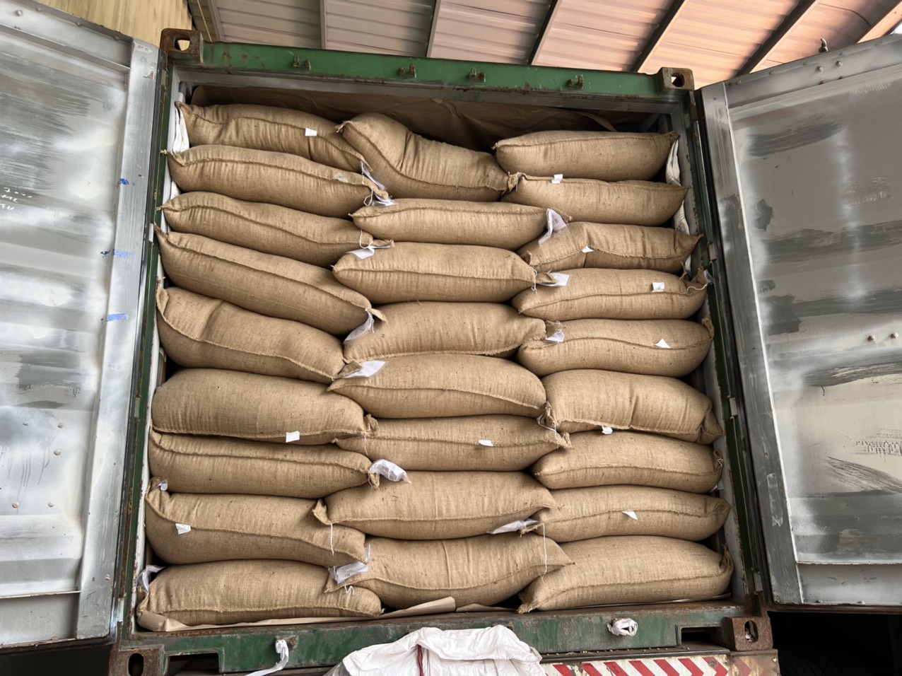 Зелёный кофе Робуста на экспорт из Вьетнама