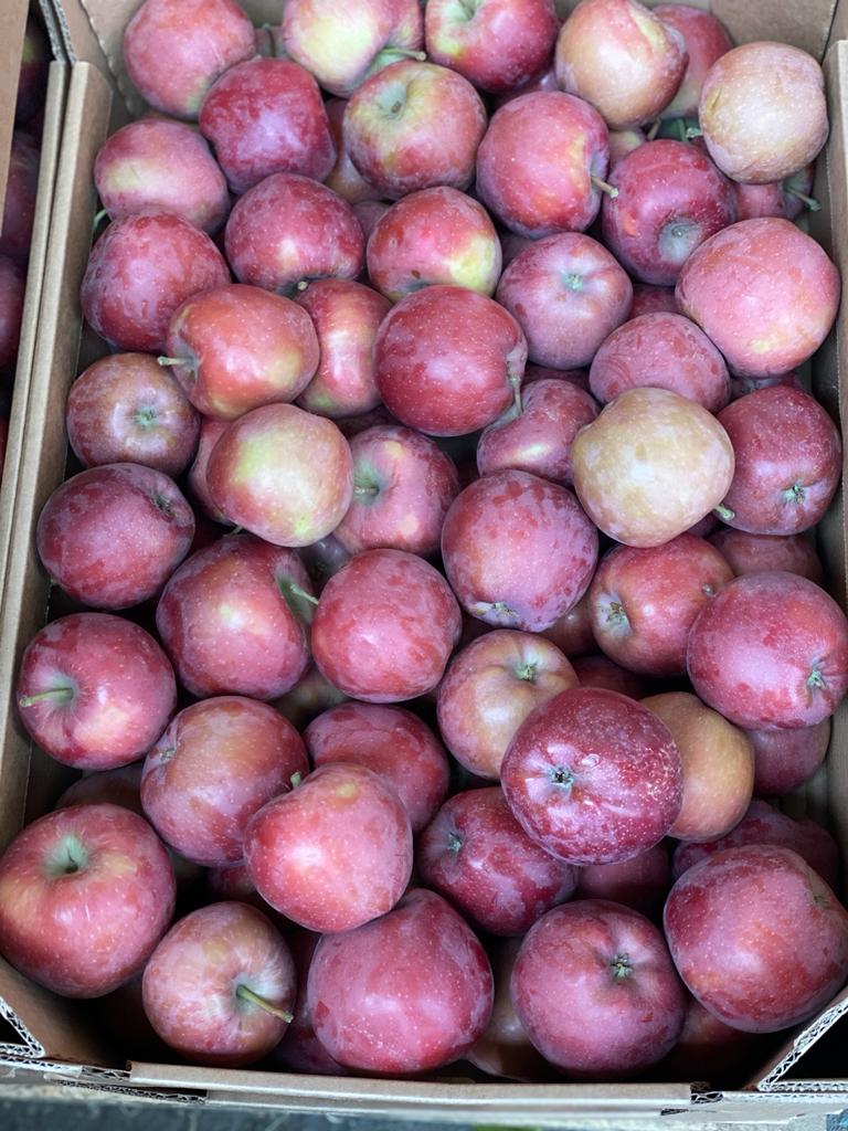 Яблоки оптом Джеромини, второй сорт калибр 65+, напрямую с садов