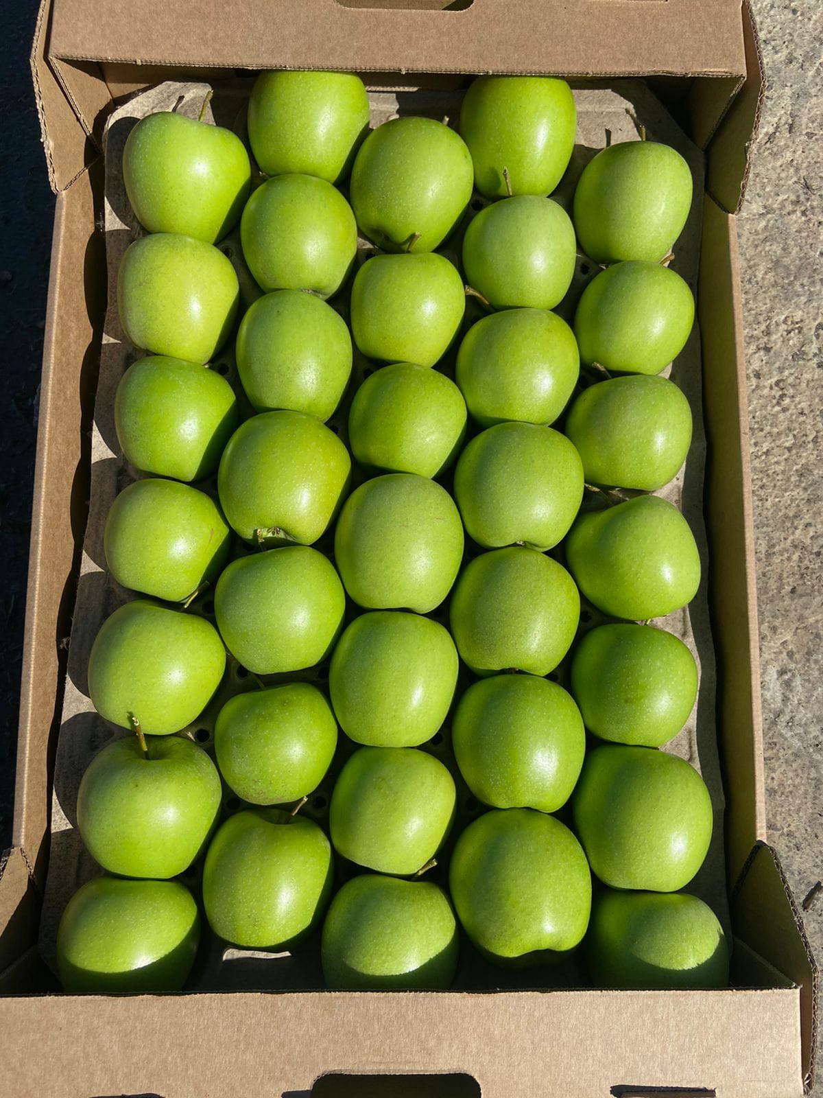 Яблоки Голден первого сорта, калибр 65+ оптом напрямую от фермерского хозяйства