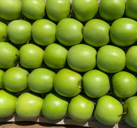 Яблоки Голден первого сорта, калибр 65+ оптом напрямую от фермерского хозяйства