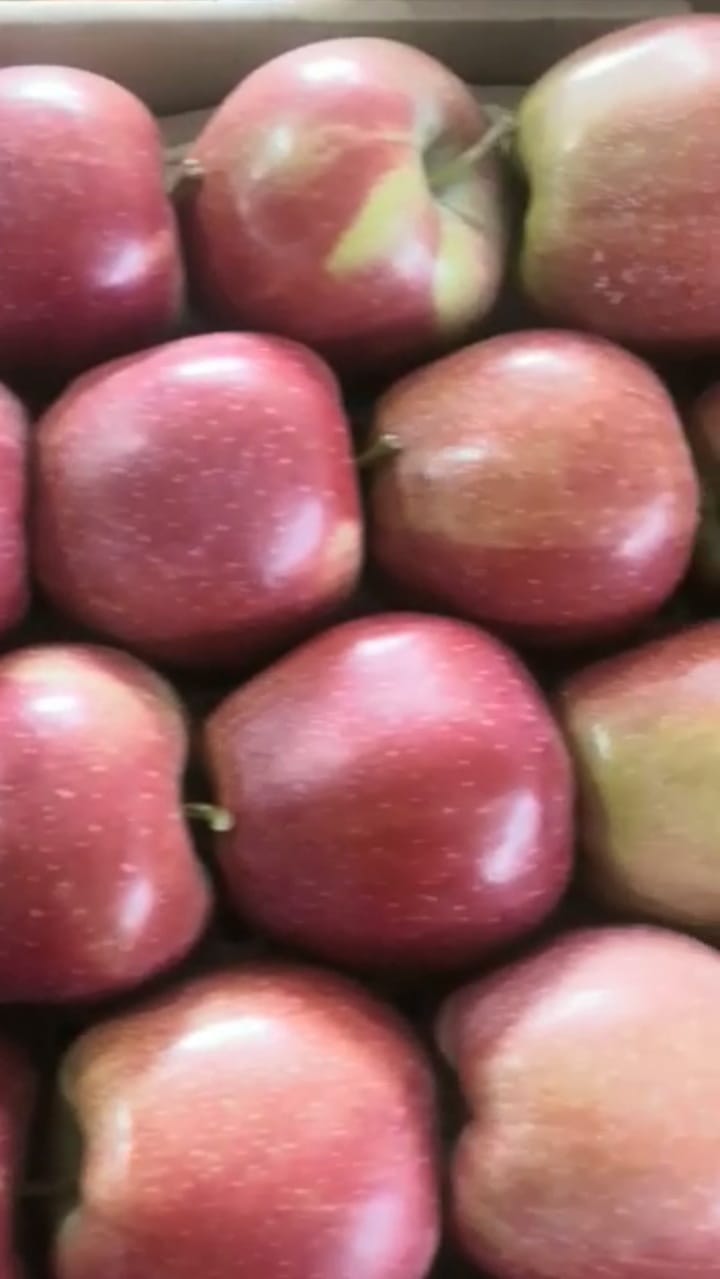 Яблоки Ред Джонапринц первого сорта, калибр 65+ оптом напрямую от производителя