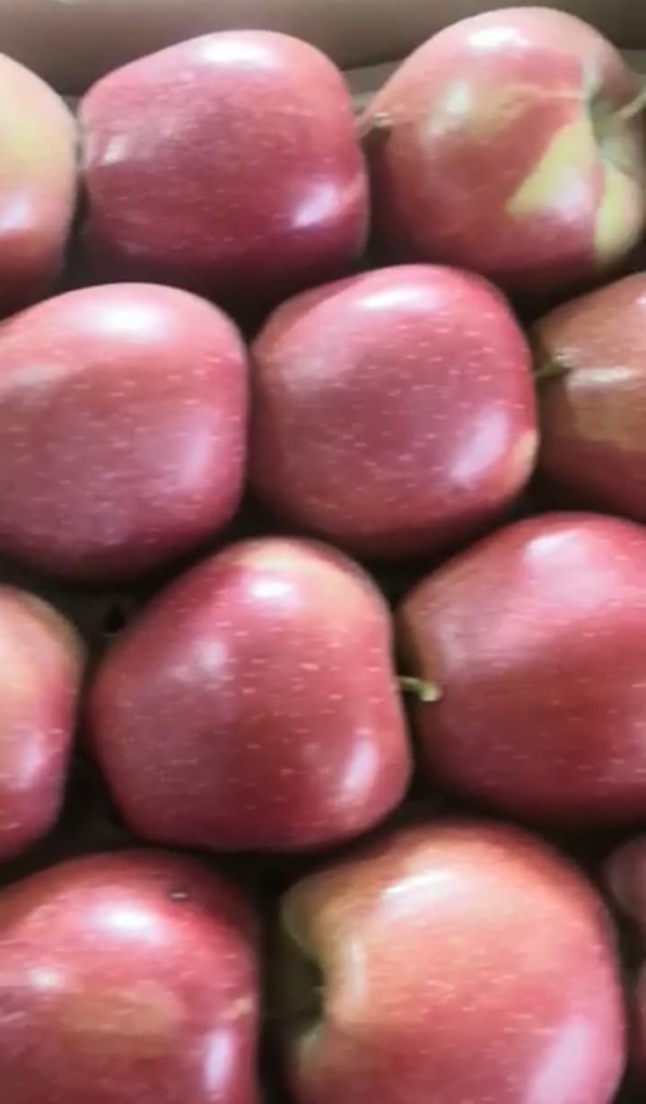 Яблоки Ред Джонапринц первого сорта, калибр 65+ оптом напрямую от производителя