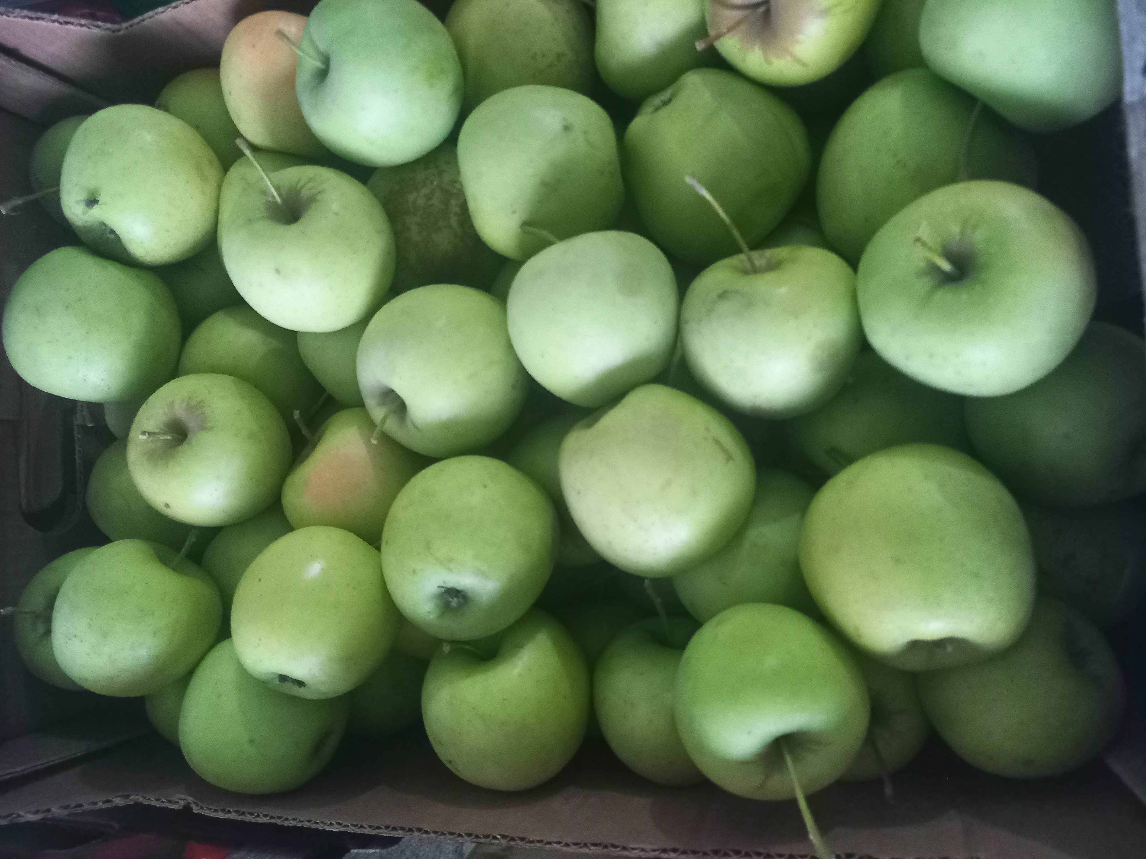 Продажа яблоки оптом