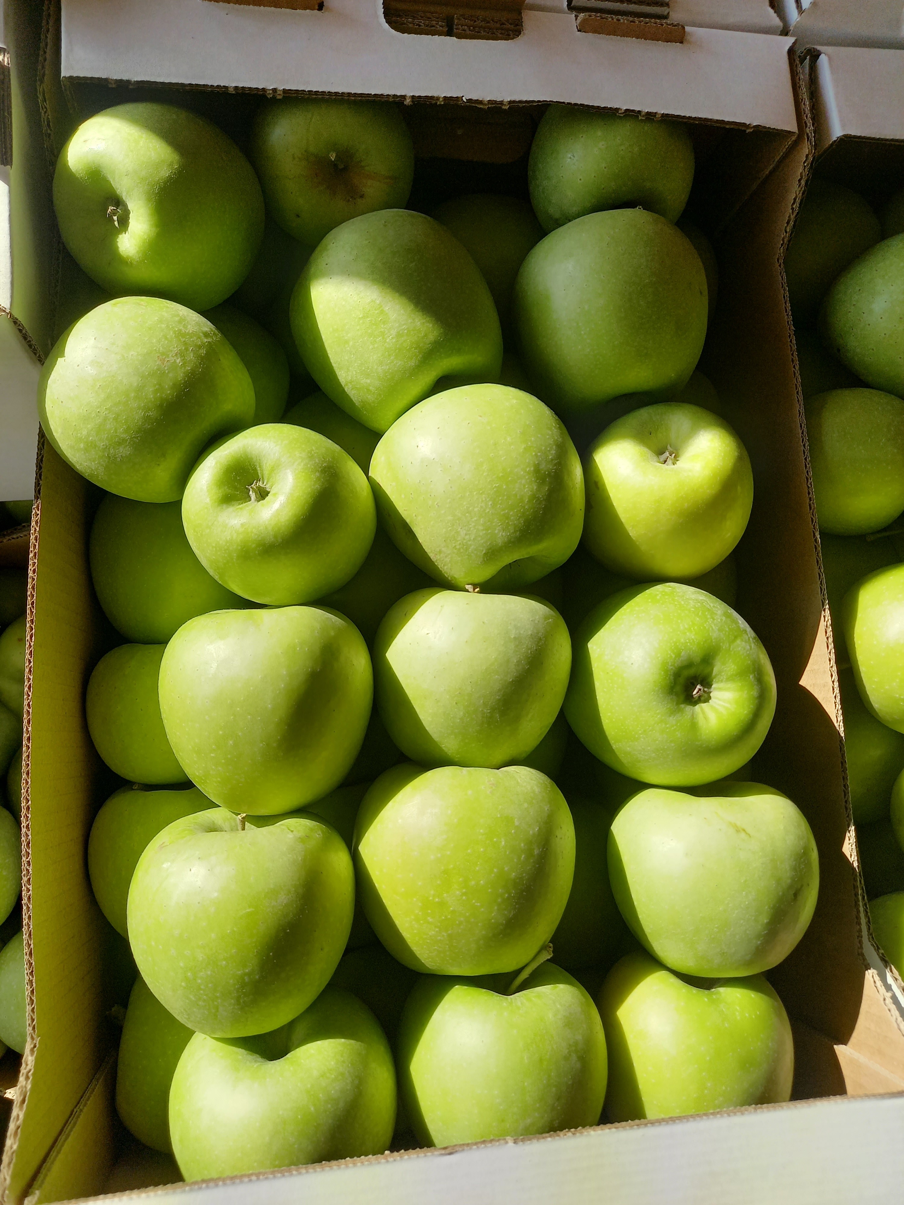 Яблоки оптом Гренни 70+ первый сорт, напрямую от КФХ