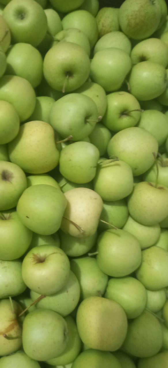 Яблоки оптом Голден, второй сорт калибр 55+, напрямую с хозяйства