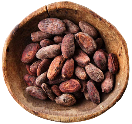 Какао бобы Индия КЕРАЛА уп 1 кг