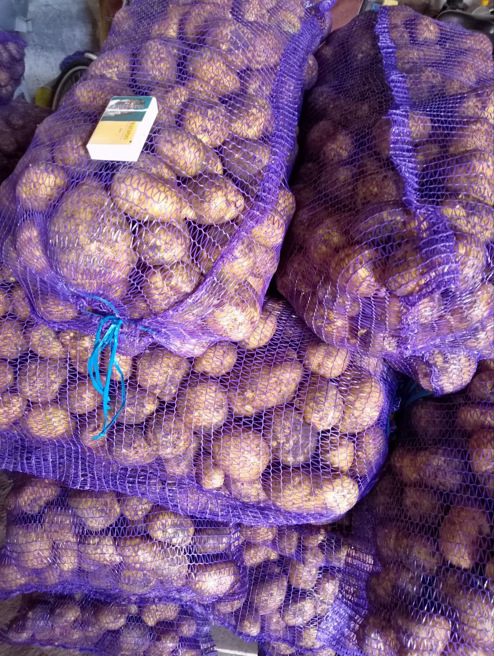 Картофель оптом, сорт Винетта, Урожай 2022 напрямую от фермера. 14р.кг