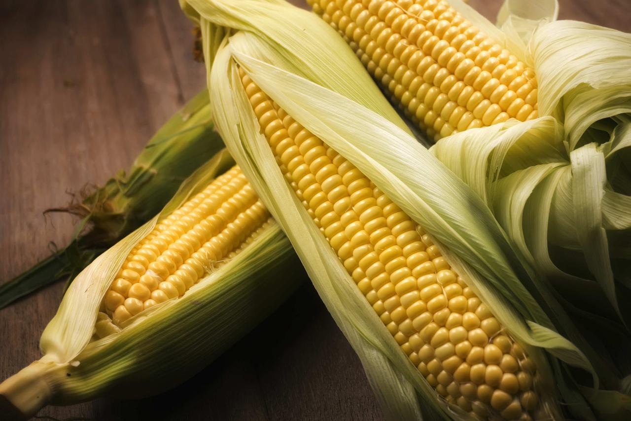 Семена гибридов кукурузы импортного и отечественного производства