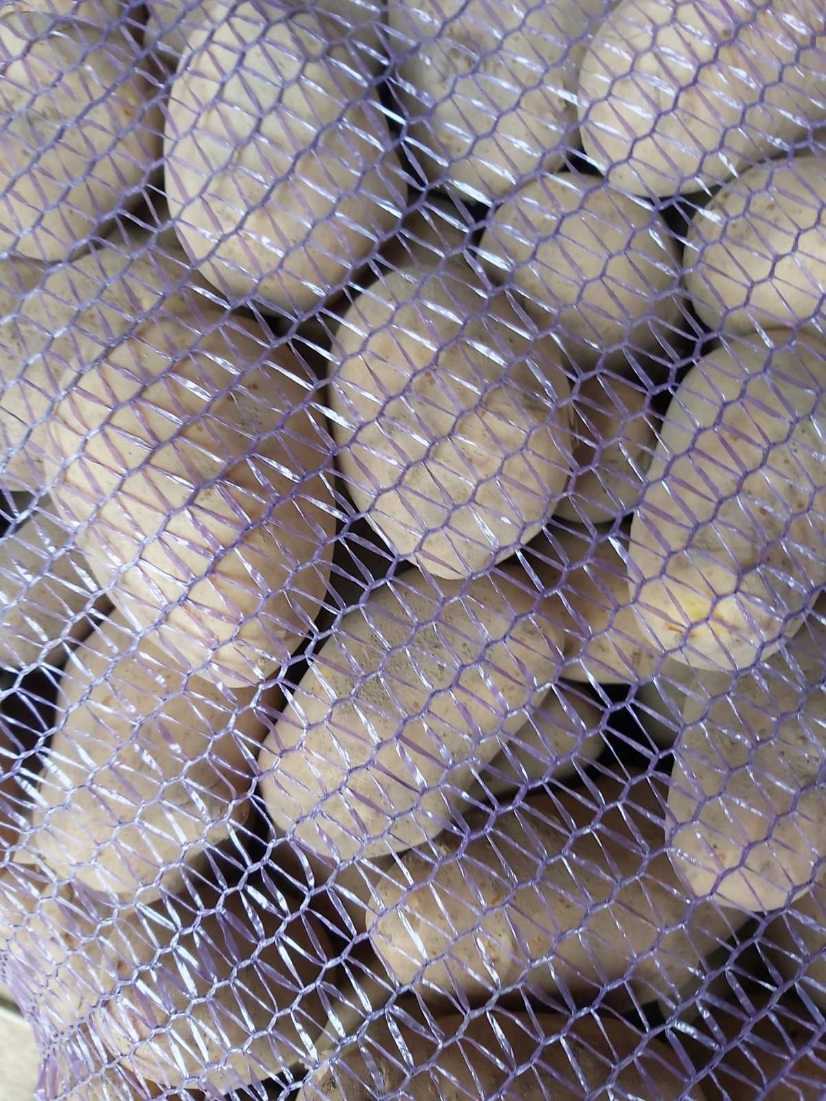картофель оптом с фермерских складов