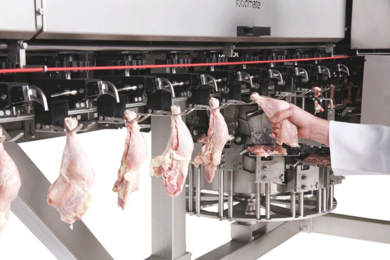 Оборудование OPTI-LTD для автоматической обвалки мяса анатомических ног, бедер и голеней, целой ножки птицы (курицы)
