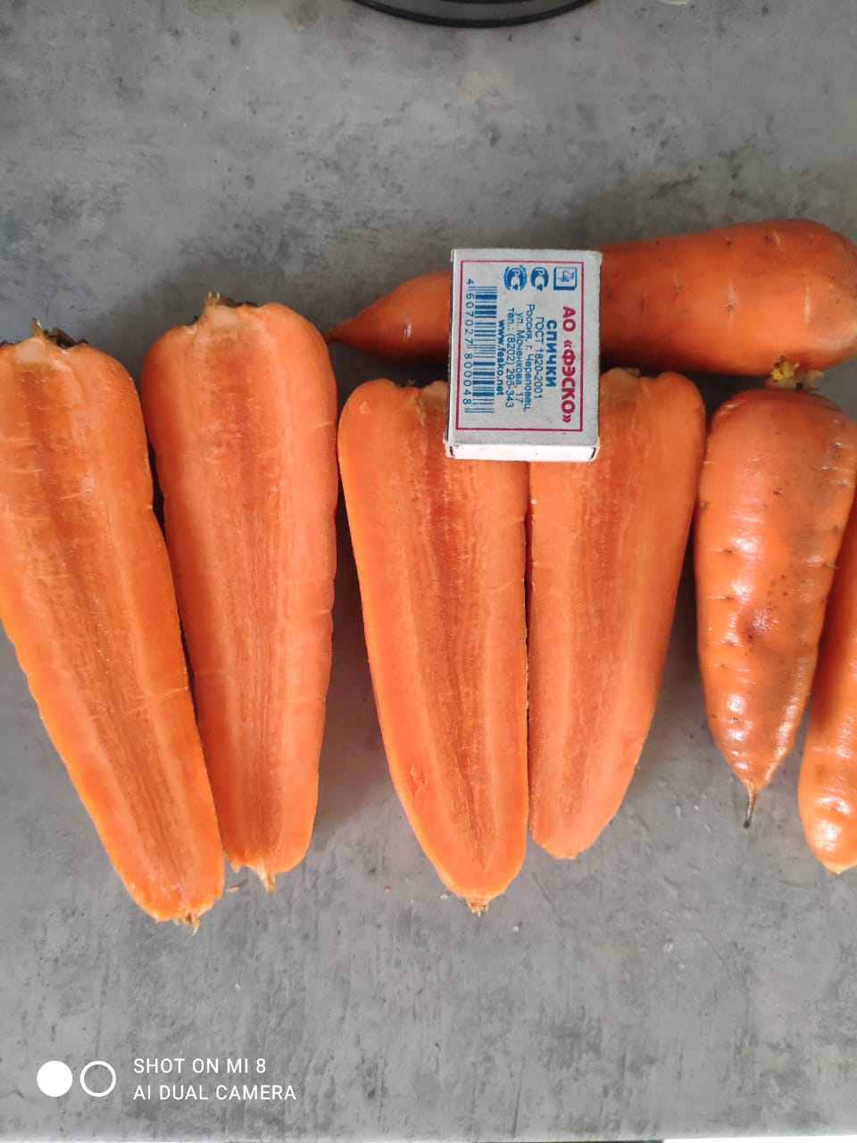 Морквоь сорта Каскад с Казахстана оптом