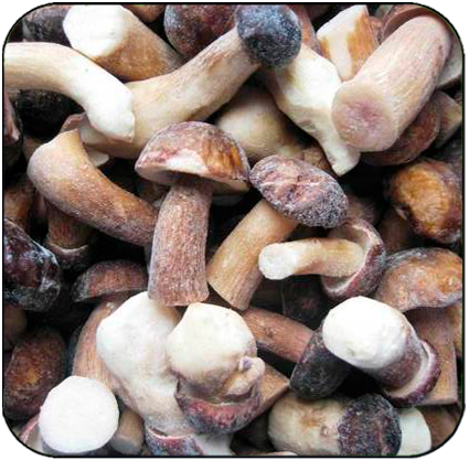 Замороженные грибы белые целые сорт Экстра.