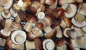 Замороженные грибы белые целые (4-8 см).