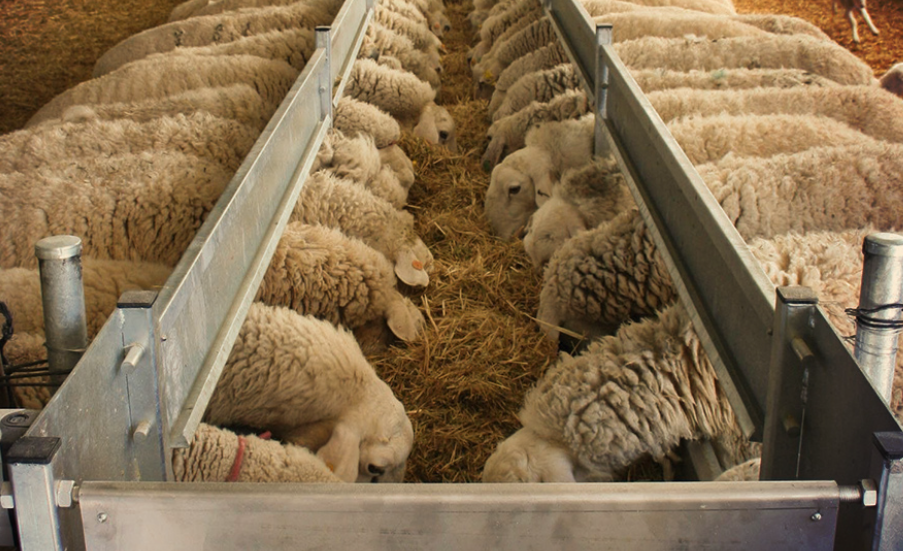 Кормовая лента для овец коз Javier Camara (Испания)
