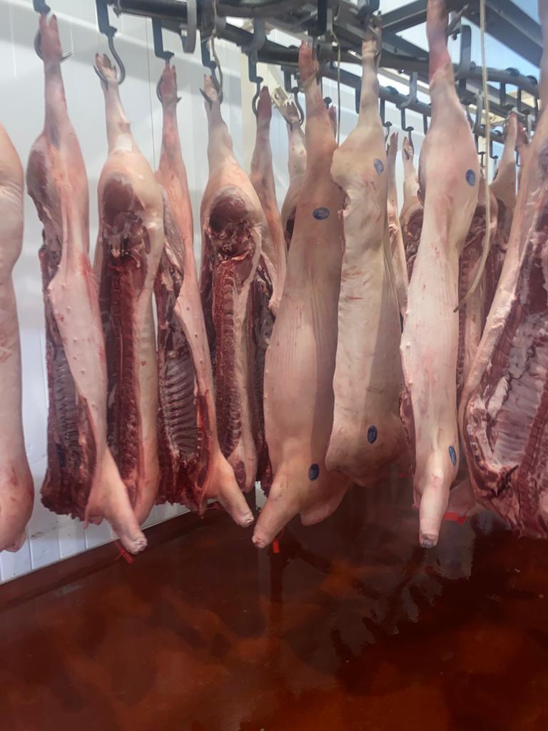 Мясо Свинины с доставкой по РФ и странам ЕврАзЭС