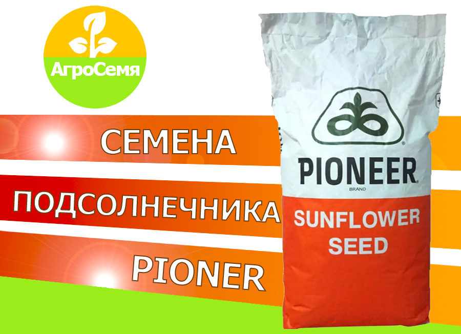 Семяна подсолнечника П63лл40 (Pioneer)