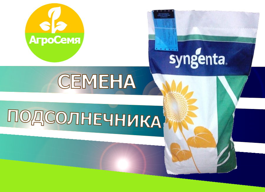 Продажа - Гибриды семена подсолнечника Сингента (Syngenta)