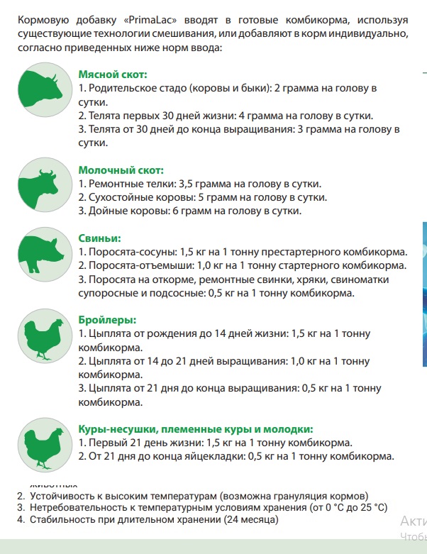 PrimaLac – сухая пробиотическая кормовая добавка