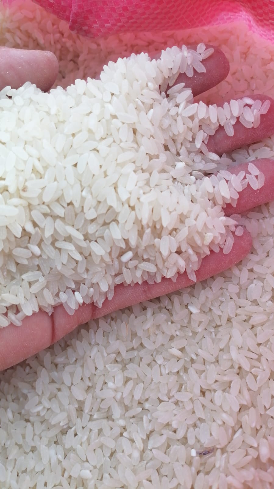 рис в ассортименте