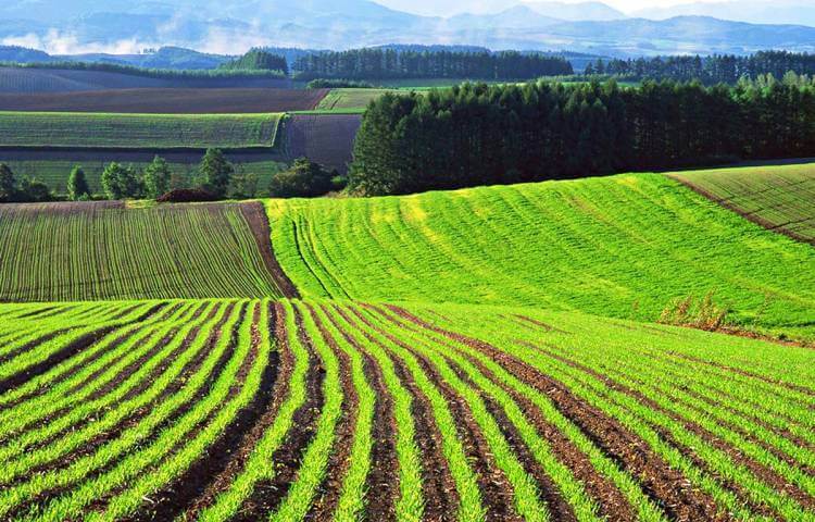 Продам или обменяю землю сельхозназначения в Пензенской области 640 ГА, СРОЧНО