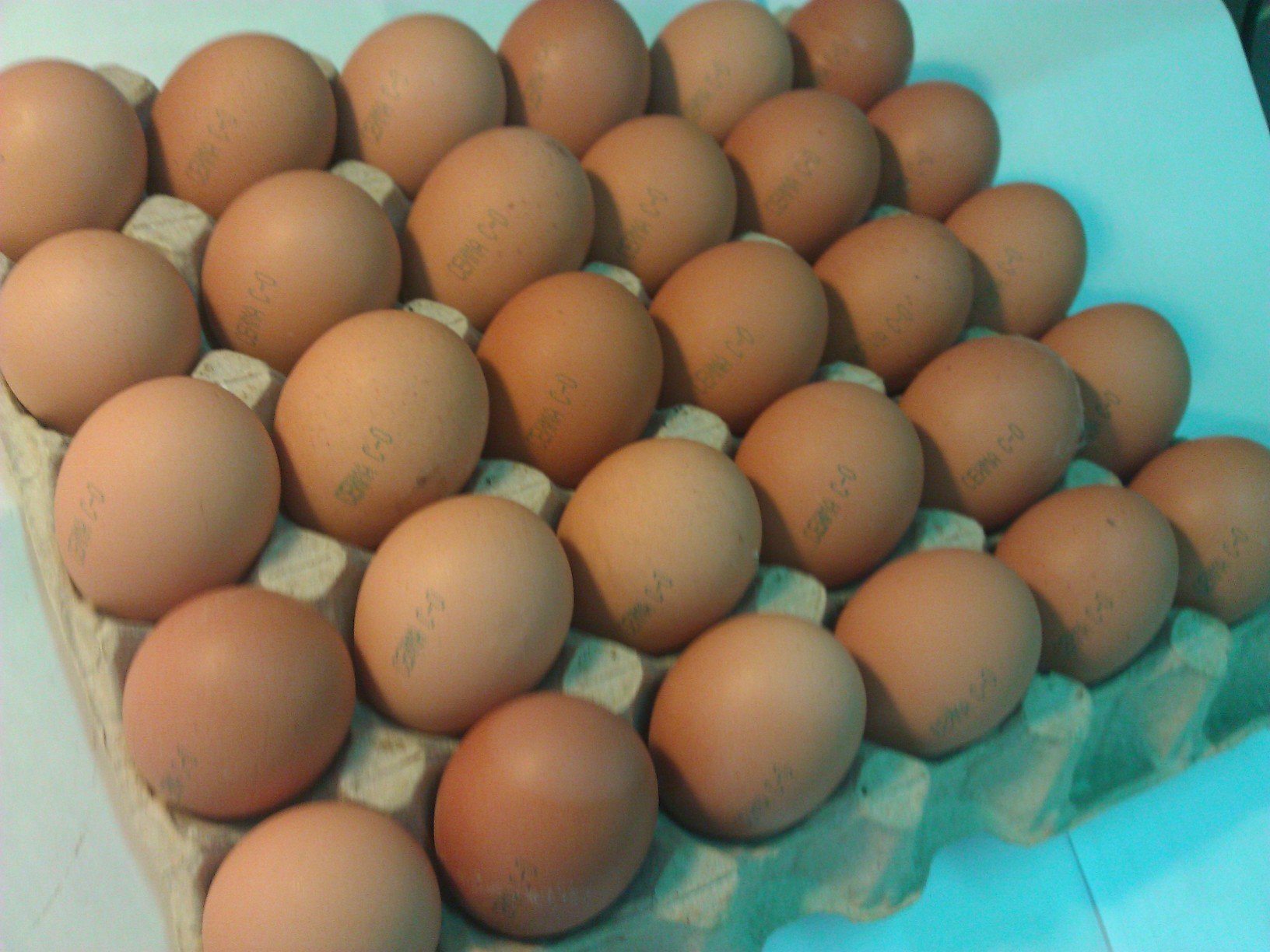 Яйца купить нижний новгород. Яйцо куриное. Куриные и перепелиные яйца. Яйцо куриное 1-й категории.