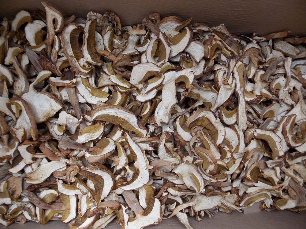 Белый гриб сушеный 2 сорт
