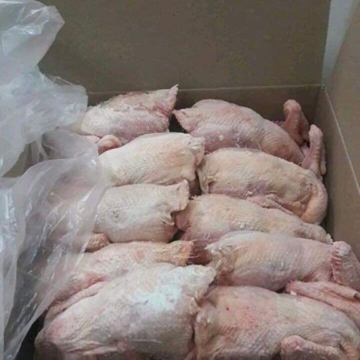 Buy Wholesale Frozen Chicken Online