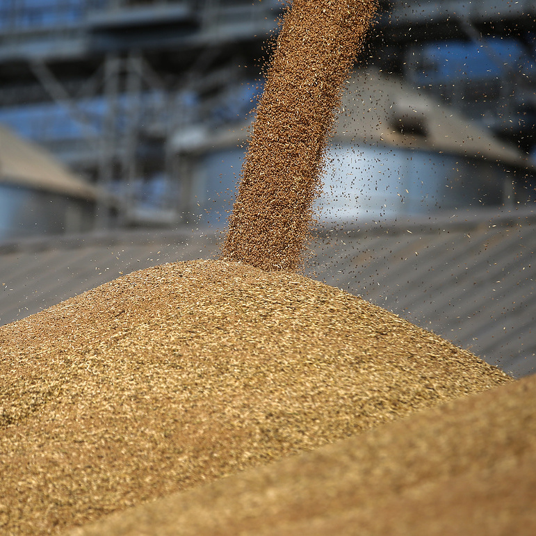 Сушка зерна свыше 20% влажности (1 ноября - 30 апреля)
