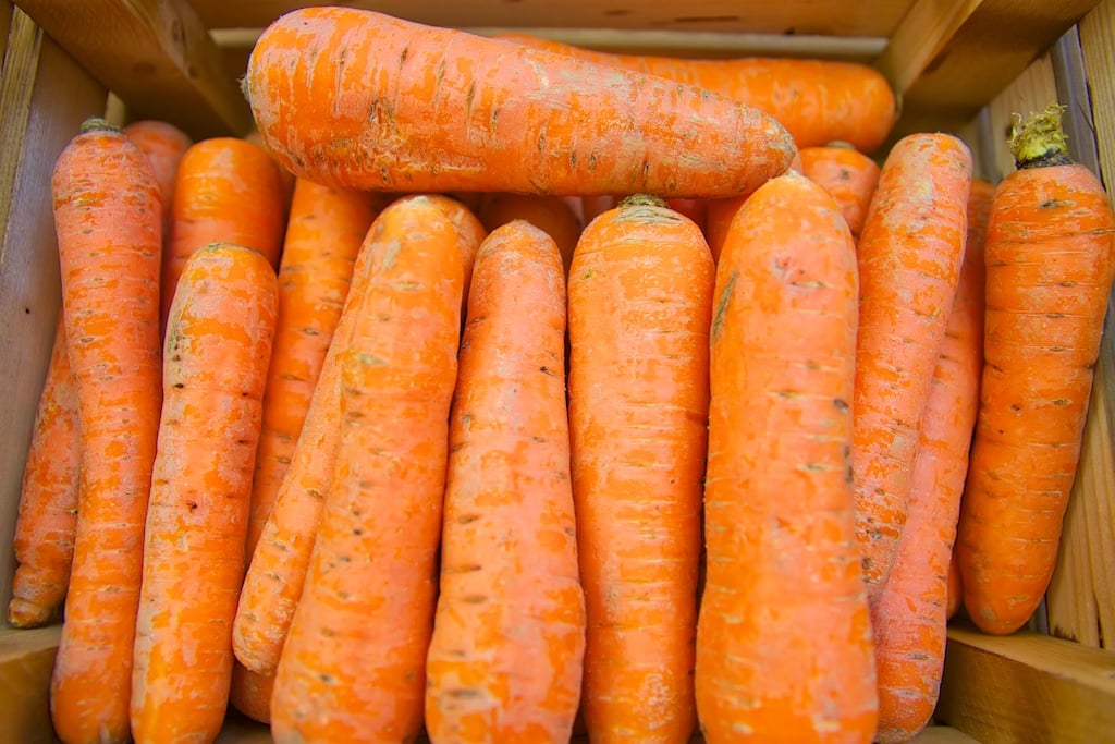 Морковь крупная