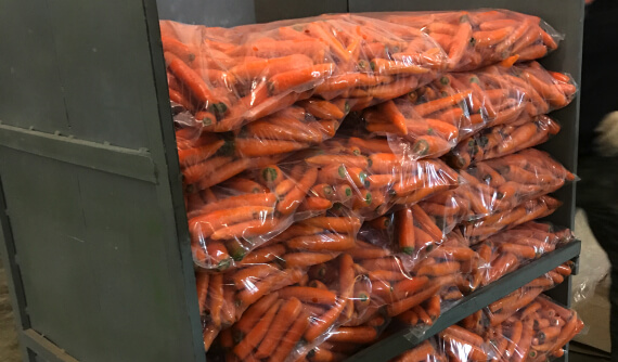 Морковь крупная грязная и мытая